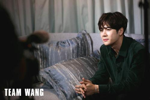 真实爆料王嘉尔视频,揭秘明星背后的生活点滴  第2张